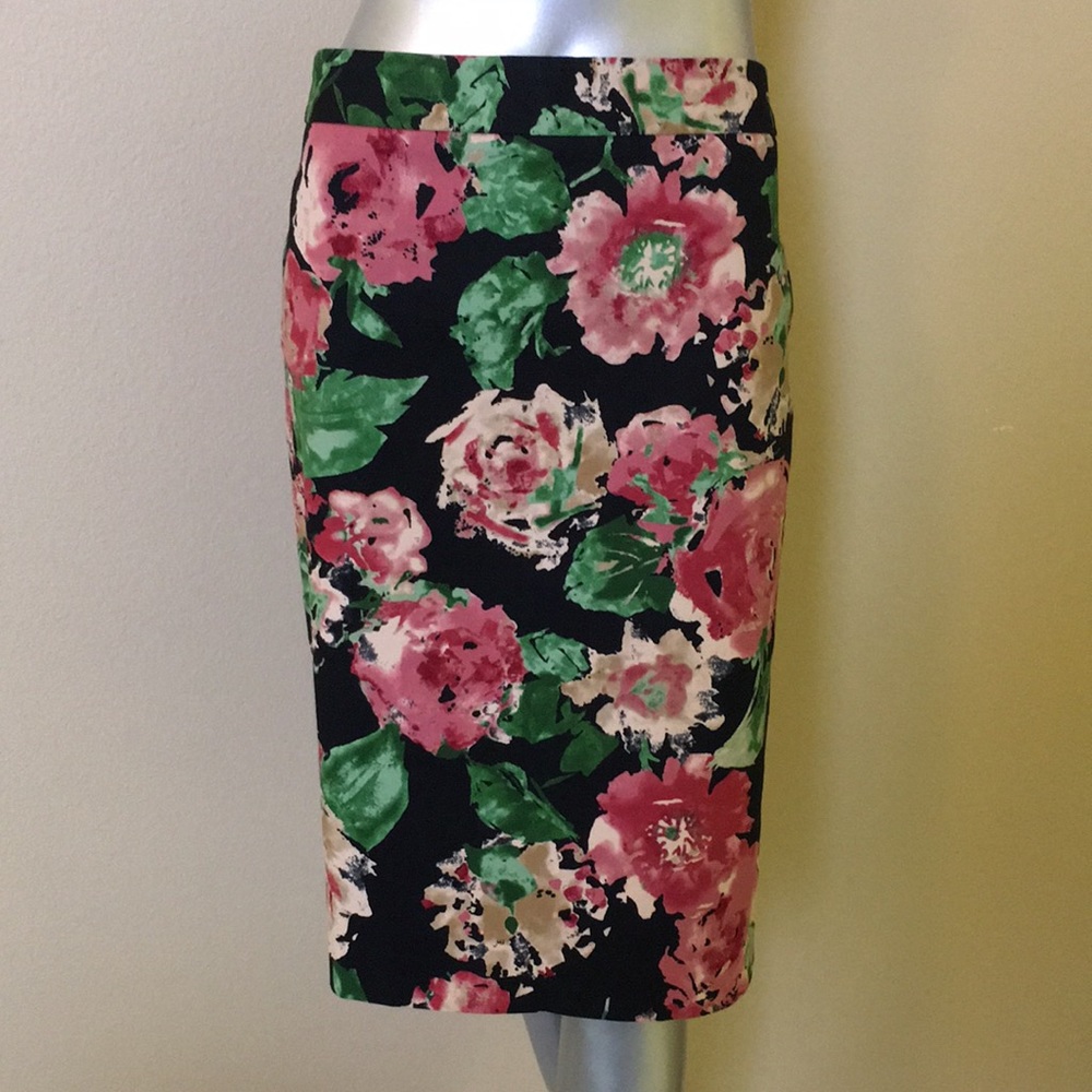TALBOTS CANVAS A-LINE SKIRT FLORAL ROSE